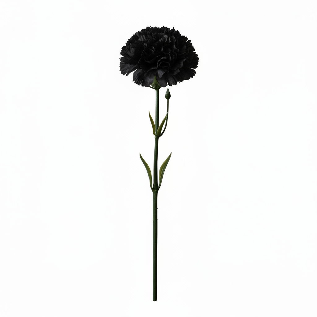 Real Touch Carnation Stem | Black