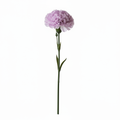 Real Touch Carnation Stem | Light Purple