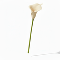 Real Touch Calla Lily Stem | Cream