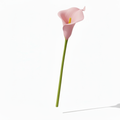 Real Touch Calla Lily Stem | Light Pink