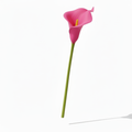 Real Touch Calla Lily Stem | Bright Pink
