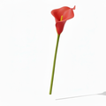 Real Touch Calla Lily Stem | Red