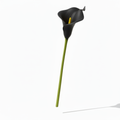 Real Touch Calla Lily Stem | Black