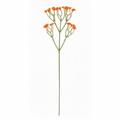 Real Touch Baby's Breath Stem | Orange