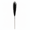Real Touch Pampas Grass Stem | Black