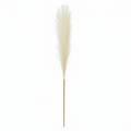 Real Touch Pampas Grass Stem | Cream