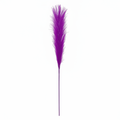 Real Touch Pampas Grass Stem | Bright Purple
