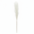 Real Touch Pampas Grass Stem | White