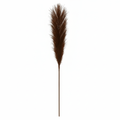 Real Touch Pampas Grass Stem | Dark Brown