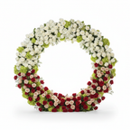 White, Green, Red and Pink Premium Rose Flower Backdrops | 327