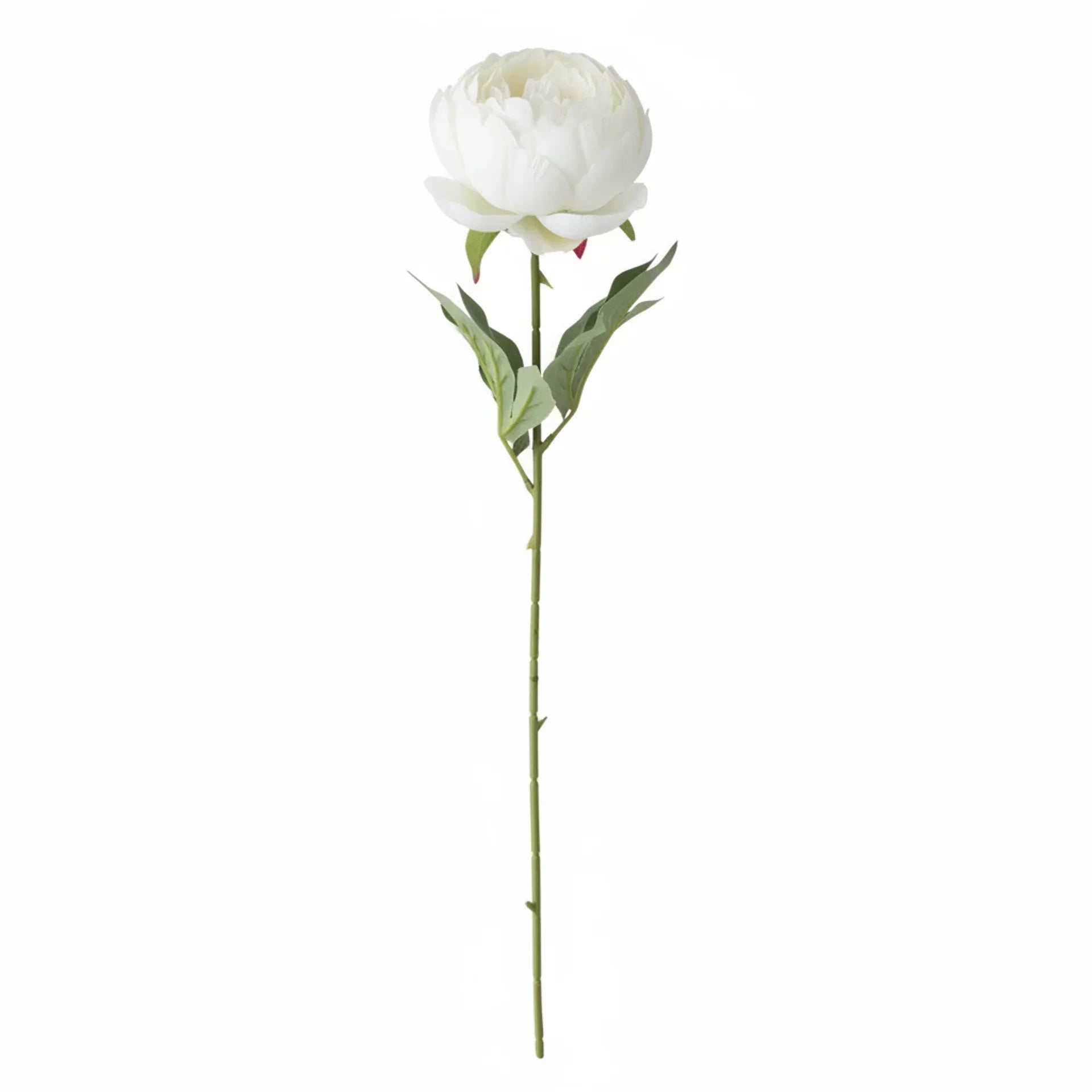 Real Touch Classic Peony Stem | White