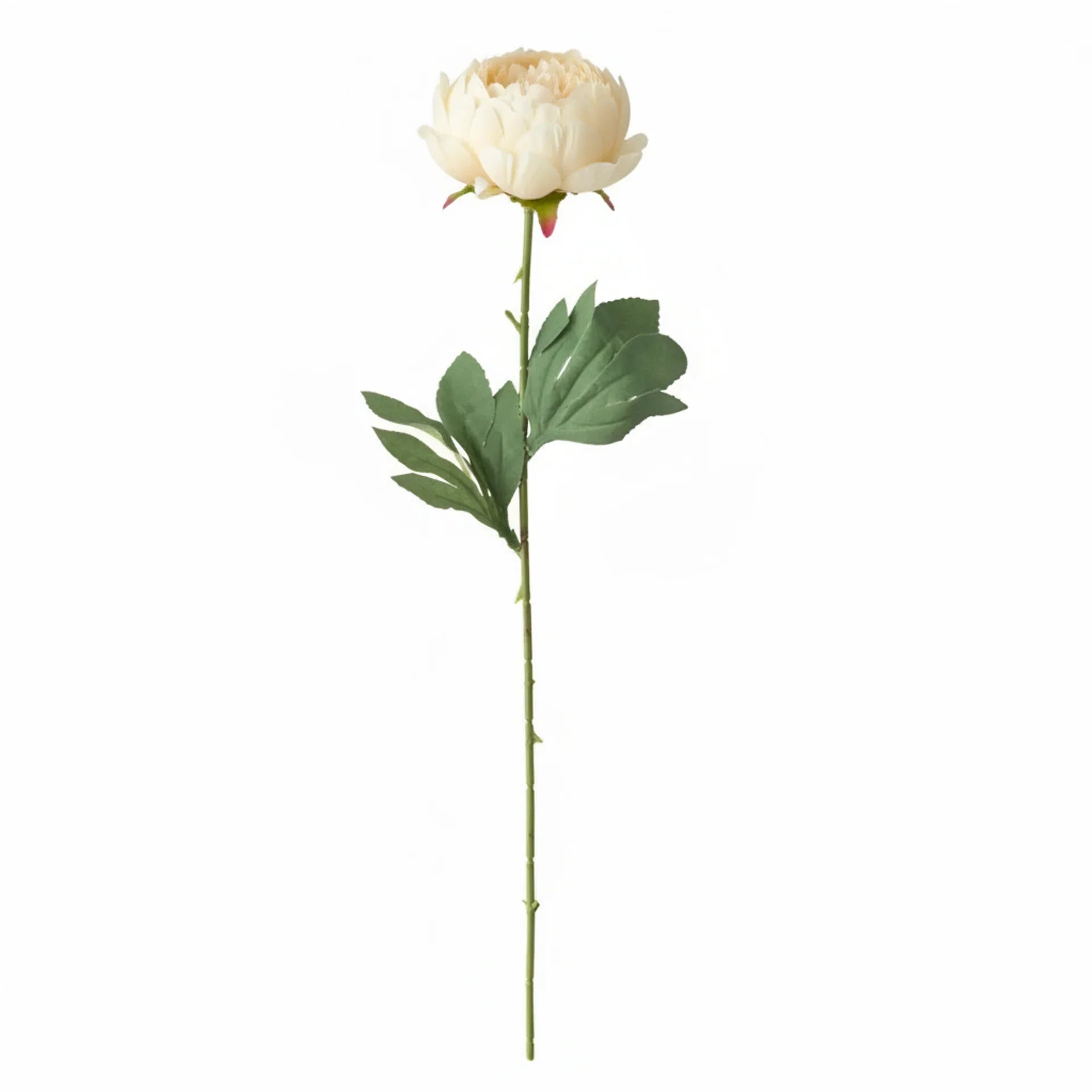 Real Touch Classic Peony Stem | Cream