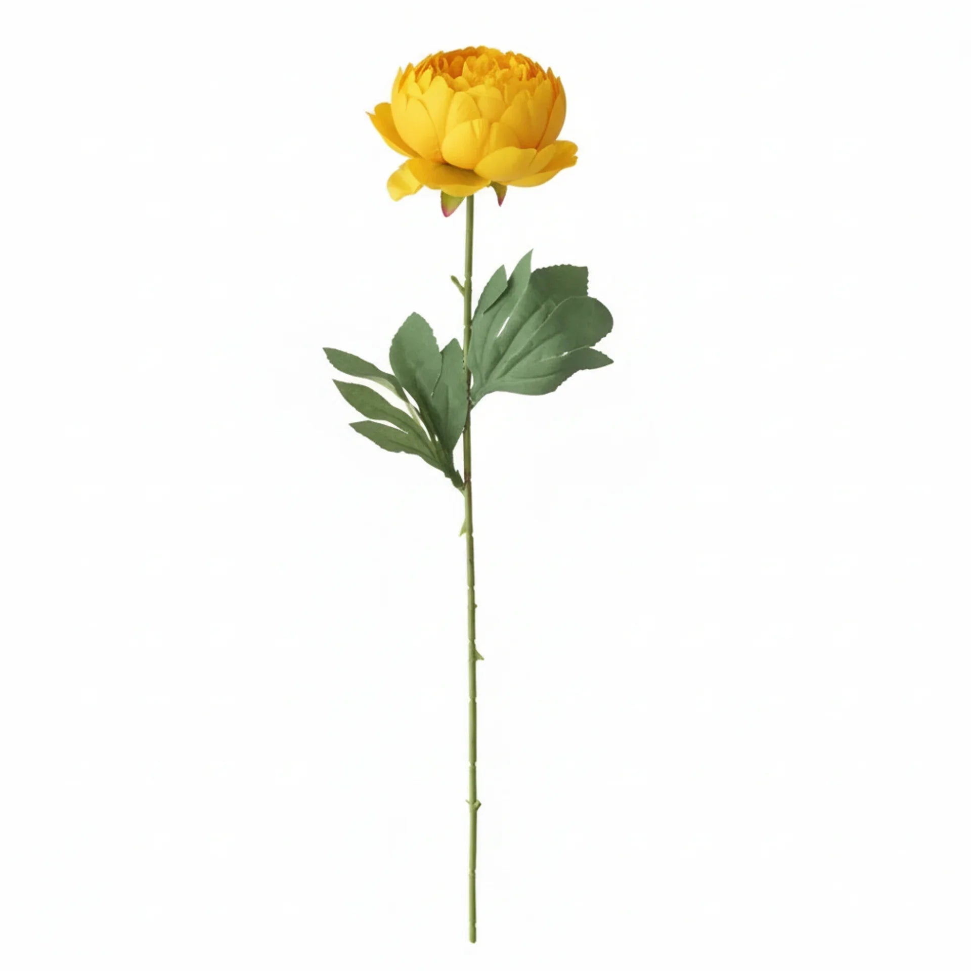 Real Touch Classic Peony Stem | Yellow