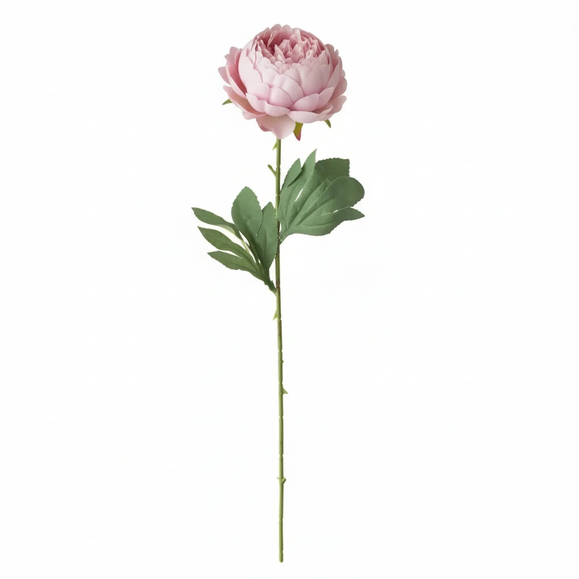 Real Touch Classic Peony Stem | Light Pink