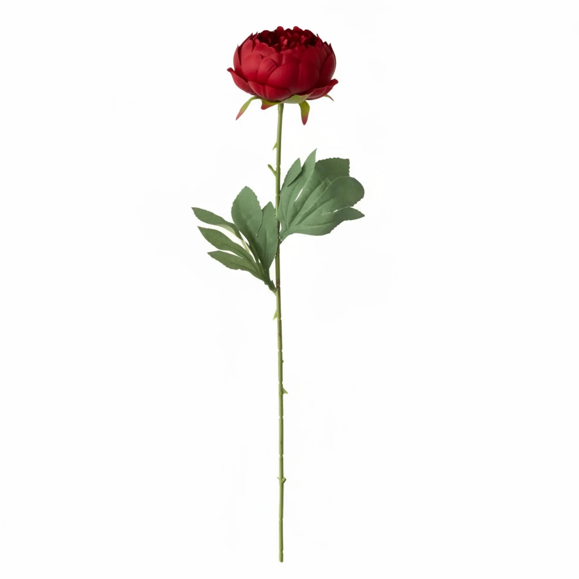 Real Touch Classic Peony Stem | Red