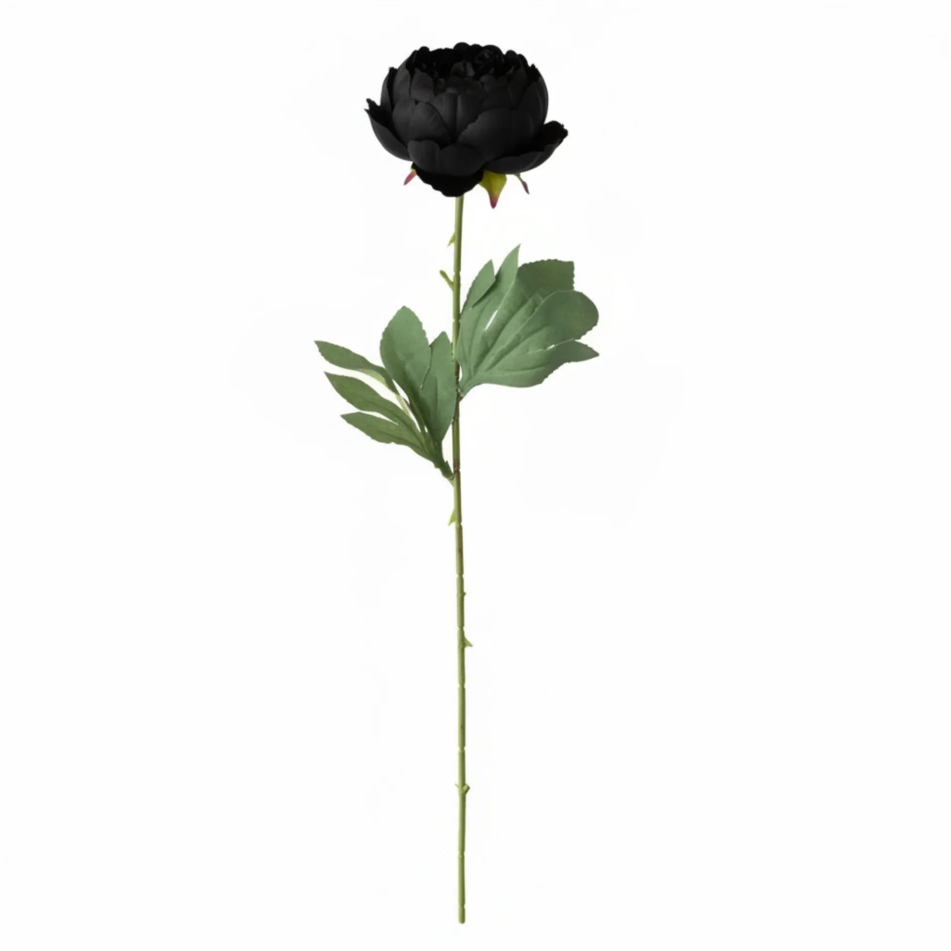 Real Touch Classic Peony Stem | Black